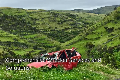 Comprehensive Wrecker Services and Solutions
