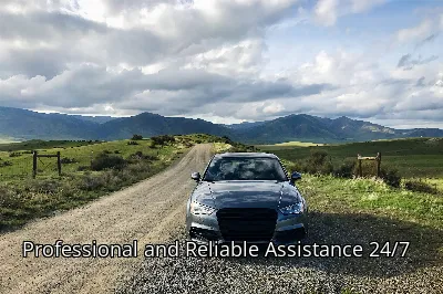 Professional and Reliable Assistance 24/7