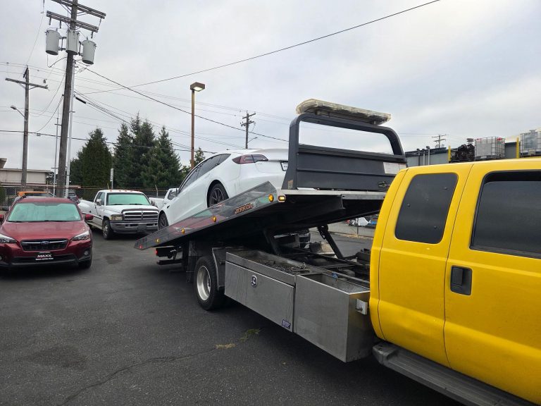 Tesla Roadside Assistance
